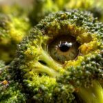 Roasted Broccoli with Chipotle Honey Butter